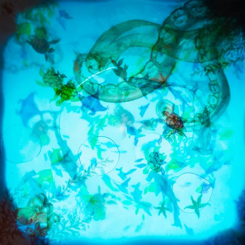 Test du jeu DIVE transparence 2